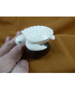 (TNE-T-LEA-458a) Leatherback Turtle on TAGUA NUT base figurine turtles - $49.85 CAD