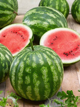 FA Store 25 Cal Sweet Supreme Watermelon Seeds Non Gmo Fresh - £6.07 GBP