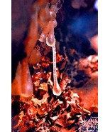 Incense Frankincense &amp; Myrrh Fresh Hand Dipped Charcoal 40 Sticks Home F... - £5.60 GBP
