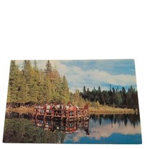 Postcard Kitch-Iti-Ki-Pi Big Springs Riding Raft Manistique MI Chrome Un... - $4.15