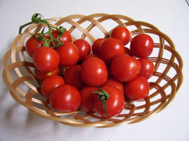 SEPTH 150 Organic Large Red Cherry Tomato Seeds Heirloom - £3.26 GBP