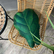 Fiddle Leaf Fig pillow / Ficus Lyrata pillow / ficus cushion - £31.89 GBP