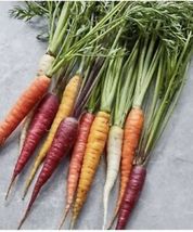 Free Shipping 200 Seeds Rainbow Carrot - £15.97 GBP