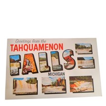 Postcard Greetings From The Tahquamenon Falls Michigan Chrome Unposted - £5.64 GBP