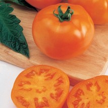 50+ Seeds Sunny Goliath Tomato Tomatoe Vegetable Garden Edible Canning F... - $8.94