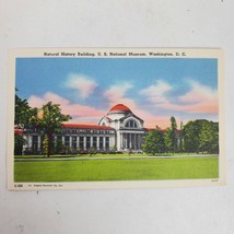 Vintage 1950s US National Museum Washington DC Postcard New Old Stock Ep... - $13.10