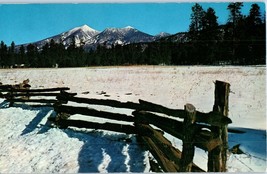 San Francisco Peaks in Snow Flagstaff Arizona Postcard  - £3.49 GBP