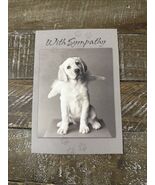 Softsoap Christmas/Holiday Holiday Cookie Scent 7.5oz Hand Soap-Brand Ne... - $2,708.26 MXN