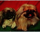 Pekingese Dog and Puppy 1958 Chrome Postcard H9 - $3.91