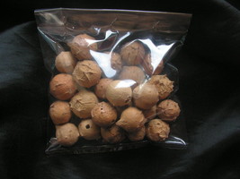 Organic Manjakani Oak Galls,Rich in Antioxidants,Pain Relieving,Anti-Inflamatory - $25.99+