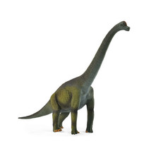 CollectA Brachiosaurus Dinosaur Figure - Large - £27.86 GBP