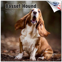 BASSET HOUND Wall Calendar 2024 DOG Animal PET Lover Gift - £19.45 GBP