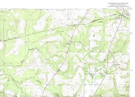 Waukeenah Quadrangle Florida 1955 USGS Topo Map 7.5 Minute Topographic - £18.54 GBP