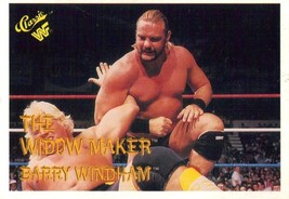 G) WWE WWF 1990 Classic Series 1 Titan Sports Trading Card - Barry Windham #93 - £1.54 GBP