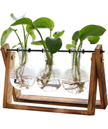 Plant Terrarium with Wooden Stand, Air Planter Bulb Glass Vase Metal Swi... - $28.71