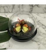 Vintage 80s Butterfly Cloche Dome Bubble Cottage Decor Plastic Orange Fl... - $24.74