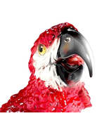 Macaw Parrot - $10,468.40 MXN