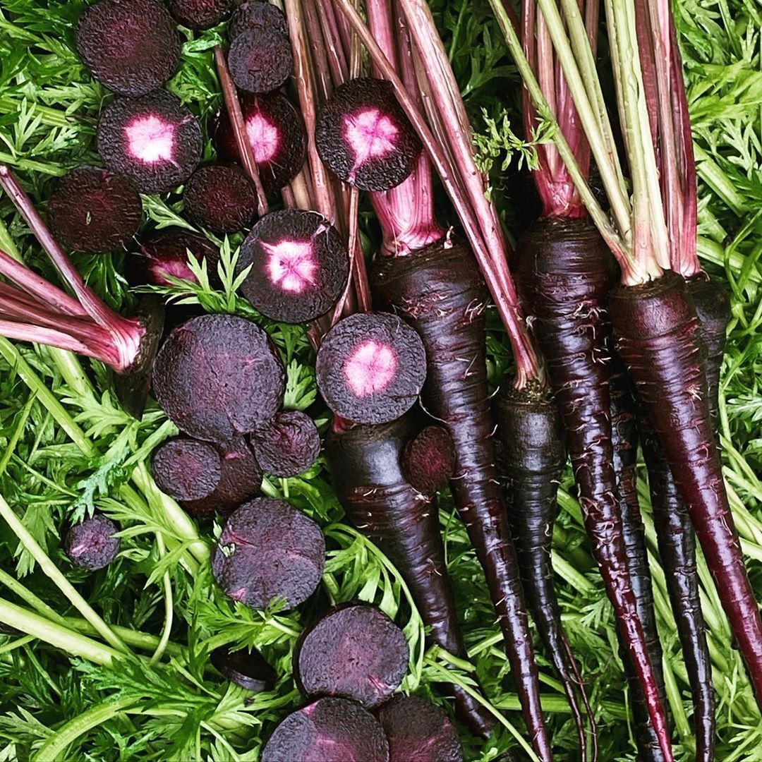 300 Non-GMO Heirloom Black Nebula Carrot Seeds - Deep Purple, Sweet &amp; Ve... - $6.38