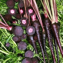 300 Non-GMO Heirloom Black Nebula Carrot Seeds - Deep Purple, Sweet &amp; Ve... - $8.73 CAD