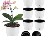 Self-Watering Planters For Orchids, Devil&#39;S Ivy, Spider Plants, And 6 Pack - $38.98