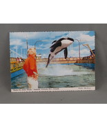 Vintage Postcard - Haida Killer Whale Sealand of the Pacific - Peacock P... - $20.37 CAD