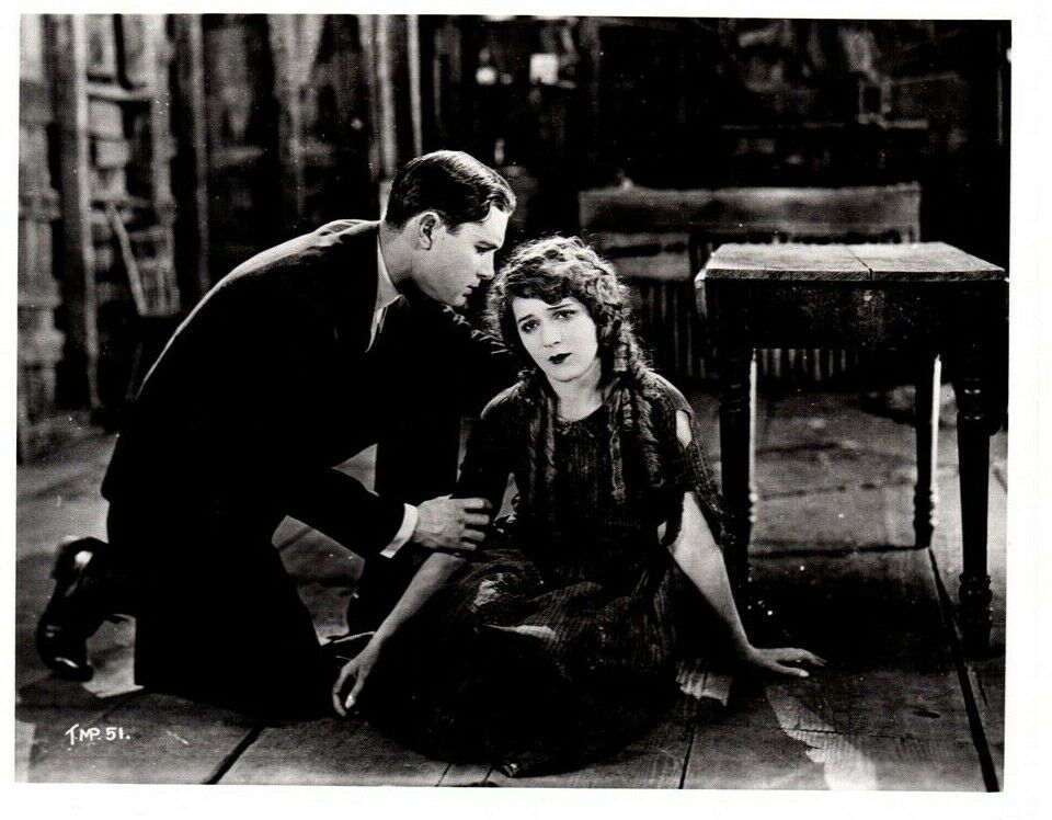 TESS OF THE STORM COUNTRY (1922) Mary Pickford &amp; Lloyd Hughes Silent Fil... - $20.00