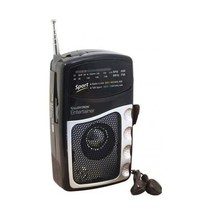 Lloytron Entertainer AM/FM Personal Radio  - $19.00