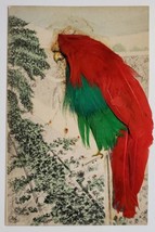 Greetings Bird On Pole With Feather Applique Novelty Postcard E32 - $6.95