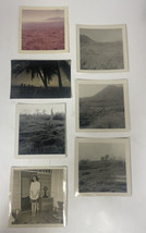1950s Mixed Lot of B &amp; W Photos from Hawaii 3 x 4 Palm Trees Landscapes Etc - £11.85 GBP