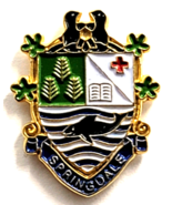 VTG Springdale NL Municipal Canada Shield Trees Book Cross Enamel Souven... - $18.10 CAD