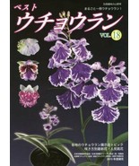 Best Ponerorchis Graminifolia #18 Japanese Ponerorchis Graminifolia Book - £80.34 GBP