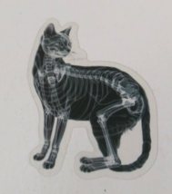 Cat X-Ray Transparent Sticker 2.38&quot; x 1.75&quot; (AK) - $1.64