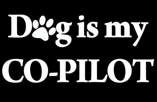 Primary image for 5" dog is my co pilot paw funny car auto sticker decal usa made