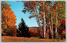 Vintage Fall autumn fall scene birch trees New England Postcard mountains landsc - £3.94 GBP