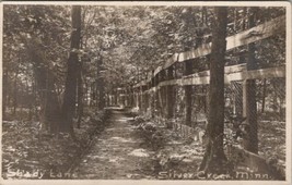 Silver Creek Minnesota RPPC Shady Lane 1909 Hasty to Annandale MN Postcard W3 - $19.95