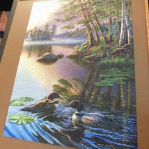 James Meger Gaviidae Loons 1000 pc Jigsaw Puzzle 20 x 27 Sunsout COMPLETE - $5.95