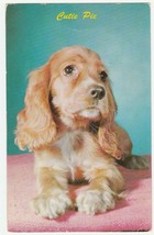 Vintage Postcard Cocker Spaniel Puppy Dog Cutie Pie 1960s Dexter Press - £5.34 GBP