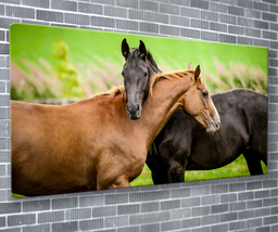 Horses Embrace Canvas Print Animal Wall Art 55x24 Inch Ready To Hang  - £70.86 GBP