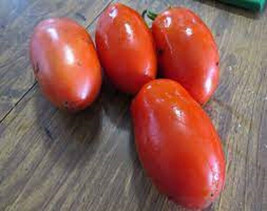 50 Seeds La Roma Iii Tomato Vegetable Edible Fresh Usa Seller - $10.50