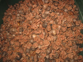 Pecan shells for BBQ smoking pieces 10 pounds - $14.92 CAD