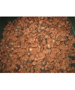 Pecan shells for BBQ smoking pieces 10 pounds - $10.99