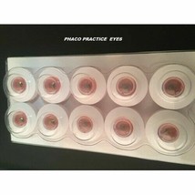 Phaco Practice Eyes 10 pcs Eyes with stand - £32.46 GBP