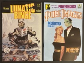 Lunatic Binge #2 Jack Davis Wraparound Cover ‘88 &amp; Pure Images #3 ‘91 Both NM/M - £23.65 GBP