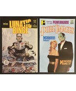 LUNATIC BINGE #2 Jack Davis Wraparound Cover ‘88 & PURE IMAGES #3 ‘91 Both NM/M - $29.70