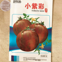 Tomato Coffee Color With Brown Stripes Zicai Vegetable Seeds 300 Seeds P... - $20.00