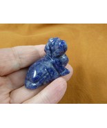 Y-DOG-DA-552) Blue gray sodalite DACHSHUND weiner hot dog gemstone FIGUR... - £14.74 GBP