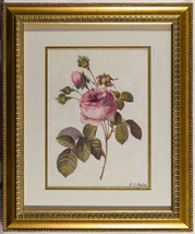 PJ Redoute 20x24 Pink Rose Flower Print Gold Ornate Frame Vtg g25 - £85.04 GBP