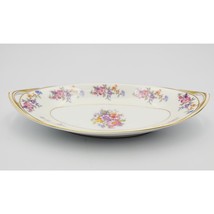 RARE MAGNIFICENT BOHEMIA FLORADORA CZECH VEGETABLE SERVING Plate 10&quot; x 4.5&quot; - $576.70 MXN