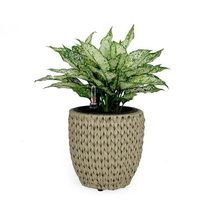 Catleza 10.6&quot; Self-Watering Wicker Planter - Garden Decoration Pot - Bei... - $28.66