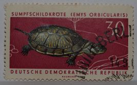 Vintage Stamps Germany 30 Pfg Pfennig Protected Animals Orbicularis Stamp X1 B13 - $1.75